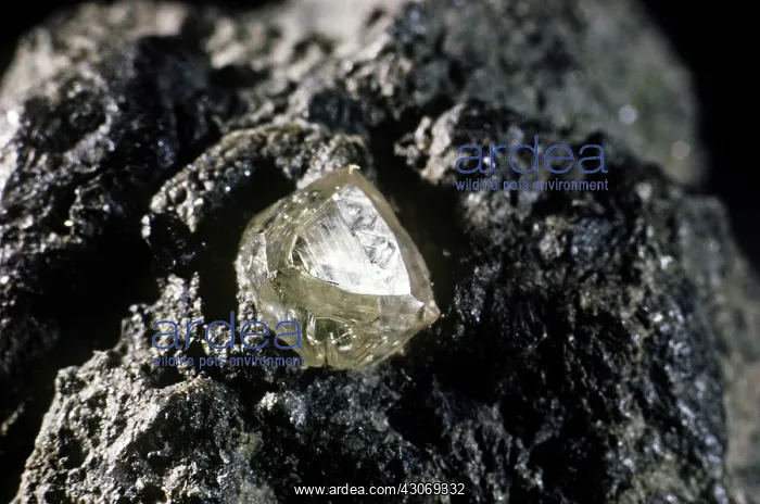 : Diamond, crystal in matrix : Diamond, crystal in matrix