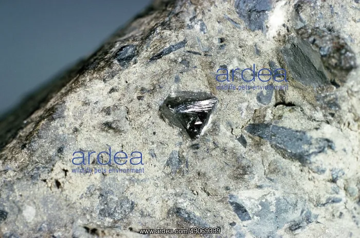 : Diamond, crystal in matrix : Diamond, crystal in matrix