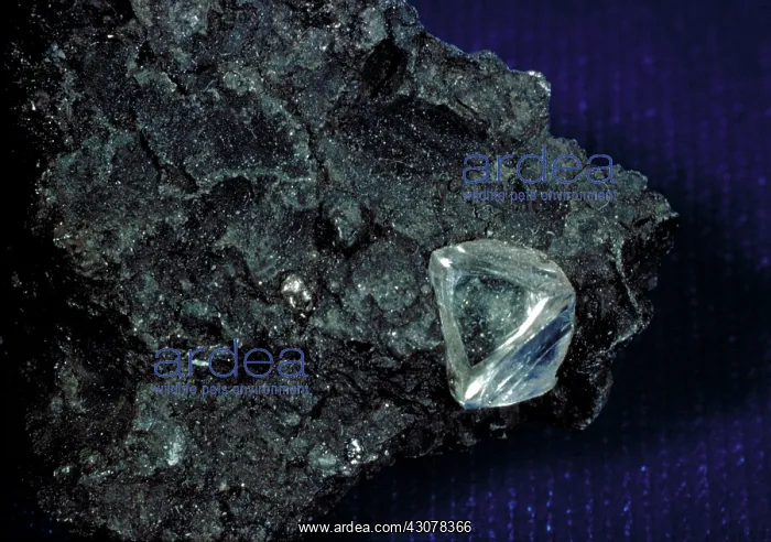 : Diamond in kimberlite : Diamond in kimberlite