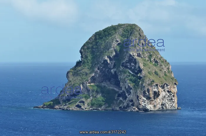 : Diamond Rock from Point Diamond ; basaltic island : Diamond Rock from Point Diamond ; basaltic island