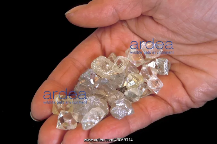 : Diamonds. Handful of real diamonds, mined in Siberia : Diamonds. Handful of real diamonds, mined in Siberia