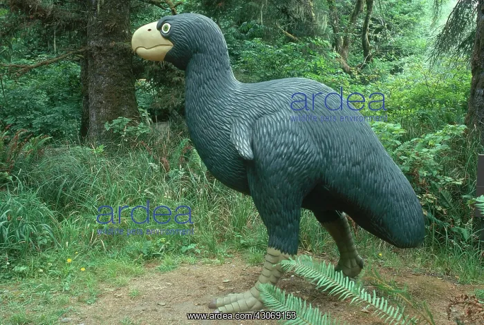 : Diatryma. Model of Diatryma, an extinct flightless bird : Diatryma. Model of Diatryma, an extinct flightless bird