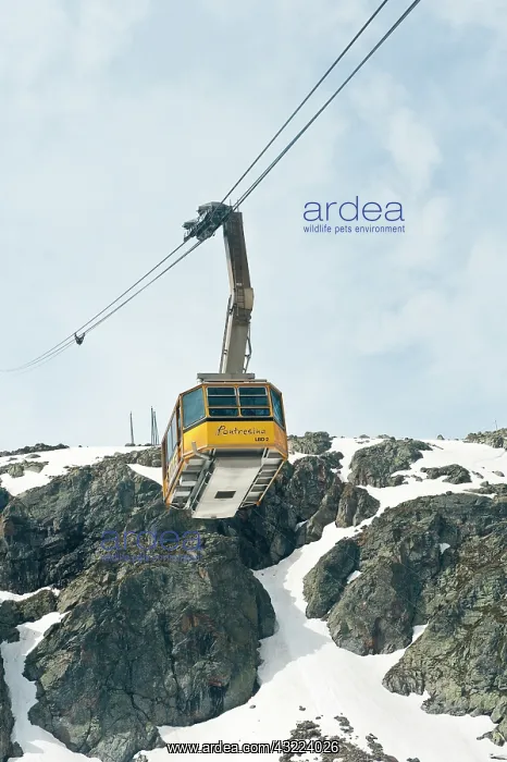 : Diavolezza Peak, Switzerland. Cable car : Diavolezza Peak, Switzerland. Cable car