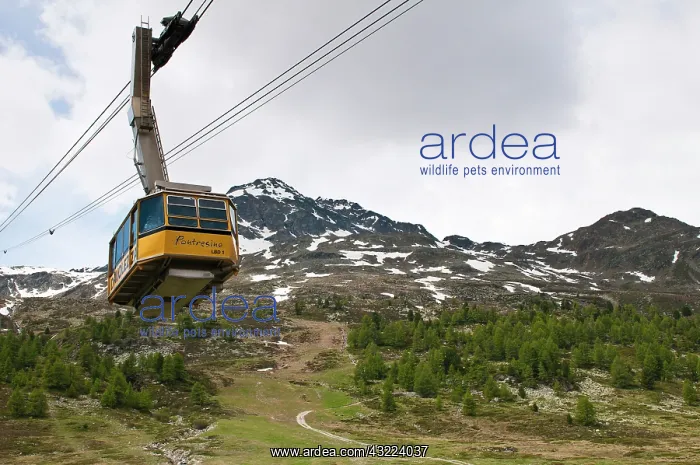 : Diavolezza Peak, Switzerland. Cable car : Diavolezza Peak, Switzerland. Cable car