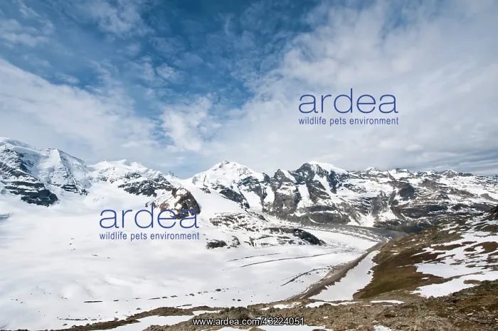 : Diavolezza Peak, Switzerland. Piz Palu : Diavolezza Peak, Switzerland. Piz Palu