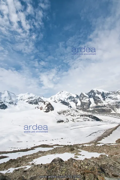 : Diavolezza Peak, Switzerland. At the summit : Diavolezza Peak, Switzerland. At the summit