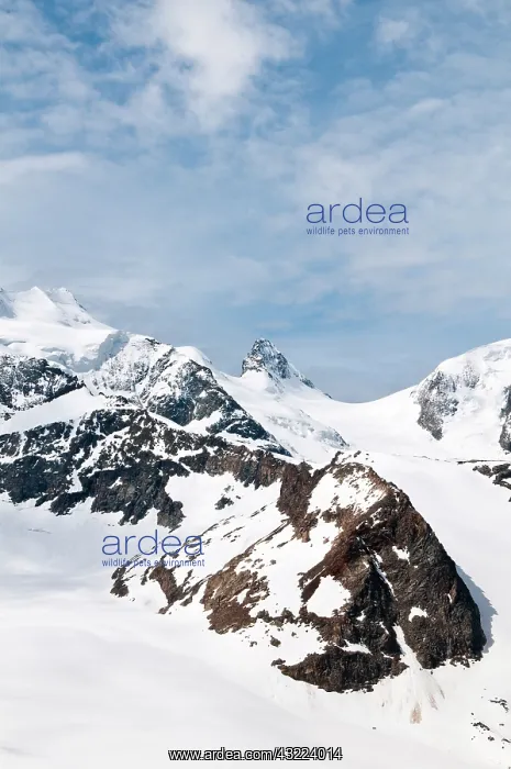 : Diavolezza Peak, Switzerland. At the summit : Diavolezza Peak, Switzerland. At the summit