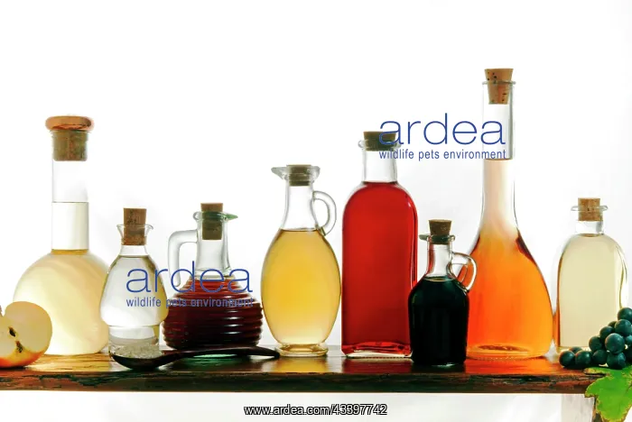 : Different types of vinegar (from left, apple, rice : Different types of vinegar (from left, apple, rice