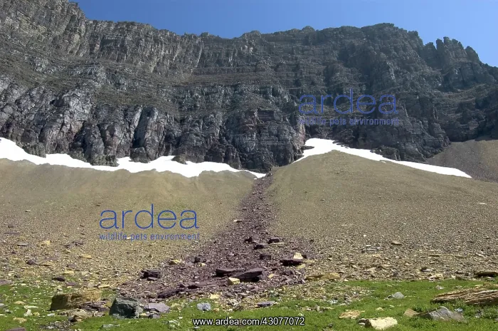 : Differentiated Scree Slope : Differentiated Scree Slope