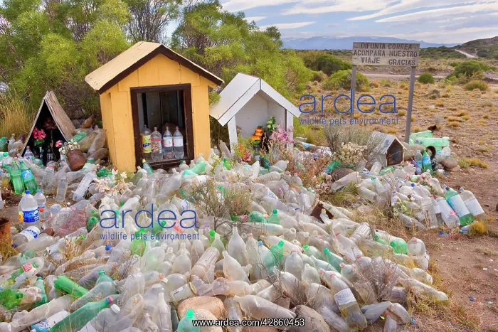 : Difunta Correa roadside shrine - numerous water : Difunta Correa roadside shrine - numerous water
