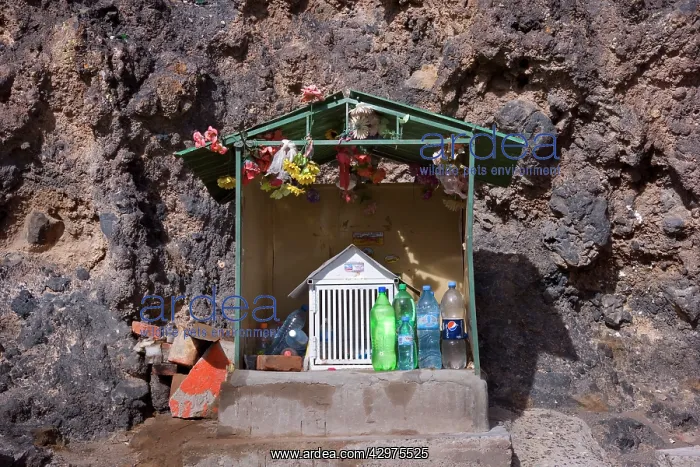 : Difunta Correa roadside shrine - water bottles : Difunta Correa roadside shrine - water bottles