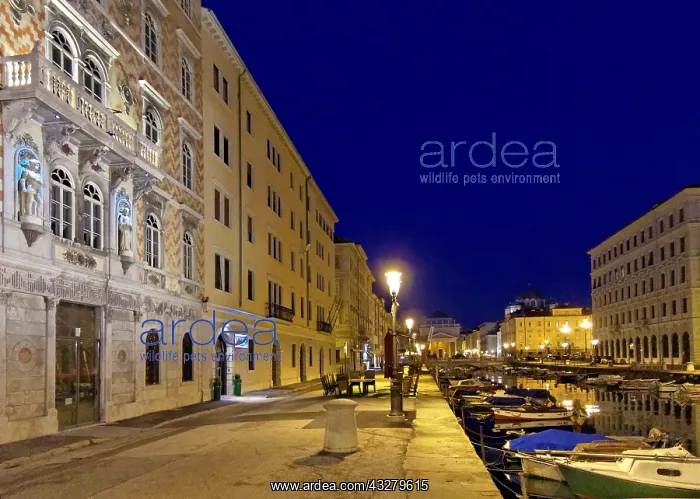 : DIG, Geografie, Italien, Friaul, Triest, Via Gioacchino : DIG, Geografie, Italien, Friaul, Triest, Via Gioacchino