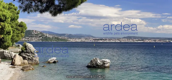 : DIG, Geografie, Italien, Friaul, Triest, Blick &xfc;ber : DIG, Geografie, Italien, Friaul, Triest, Blick &xfc;ber