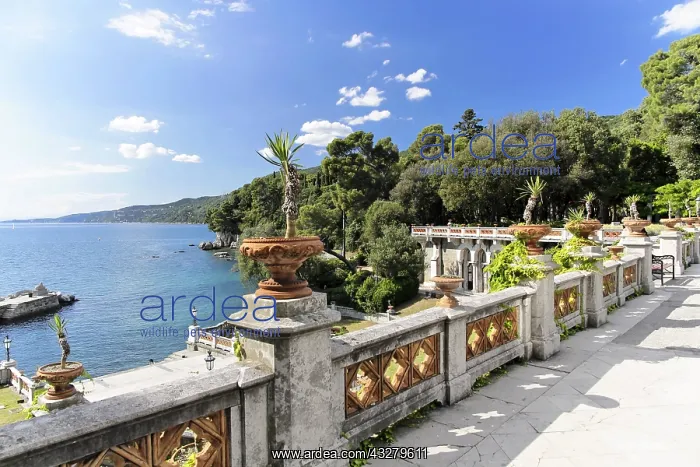 : DIG, Geografie, Italien, Friaul, Triest : DIG, Geografie, Italien, Friaul, Triest