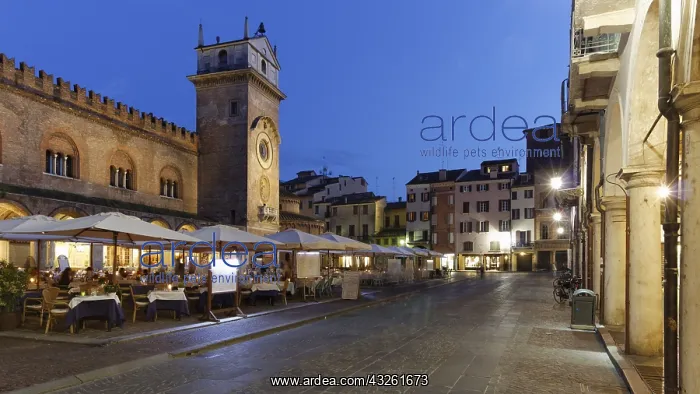 : DIG, Geografie, Italien, Lombardei, Mantua, Piazza : DIG, Geografie, Italien, Lombardei, Mantua, Piazza