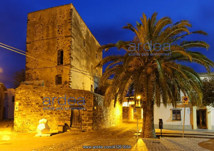  : DIG, Geografie, Italien, Sardinien, Orosei, Castello