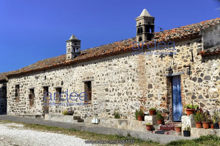 : DIG, Geografie, Italien, Sardinien, Orosei, Kloster : DIG, Geografie, Italien, Sardinien, Orosei, Kloster