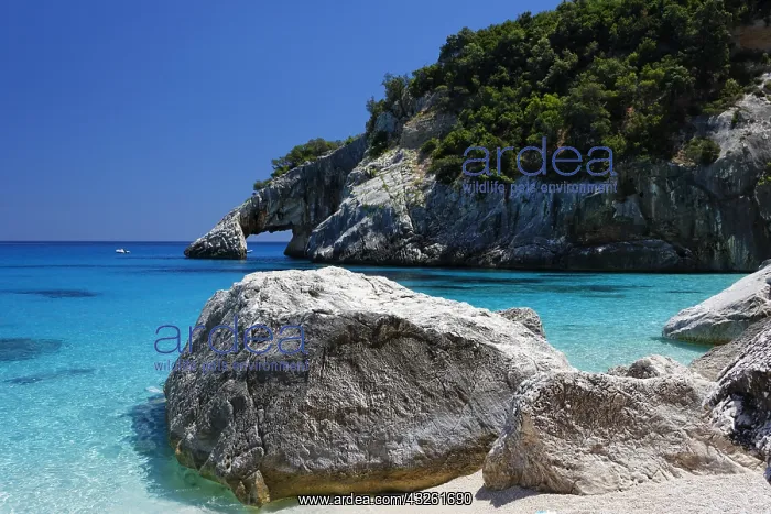 : DIG, Geografie, Italien, Sardinien, Cala Goloritze : DIG, Geografie, Italien, Sardinien, Cala Goloritze