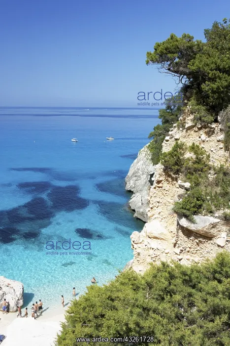 : DIG, Geografie, Italien, Sardinien, Cala Goloritze : DIG, Geografie, Italien, Sardinien, Cala Goloritze