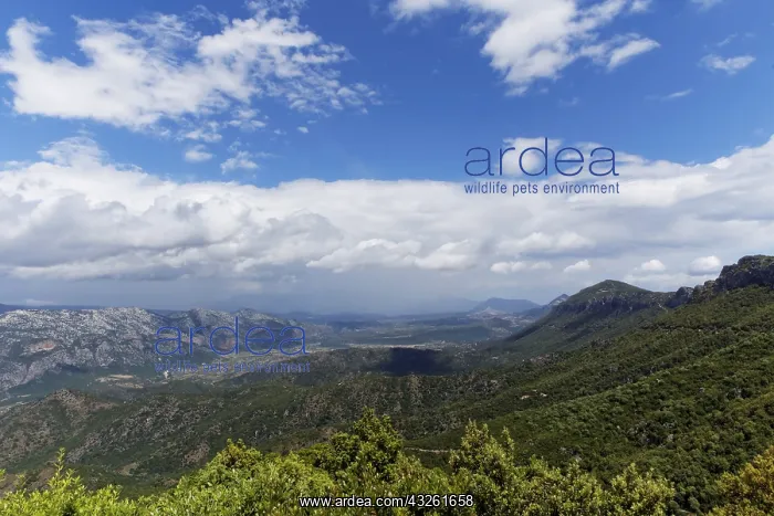 : DIG, Geografie, Italien, Sardinien, Gennargentu : DIG, Geografie, Italien, Sardinien, Gennargentu