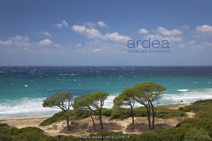 : DIG, Geografie, Italien, Sardinien, Torre Delle : DIG, Geografie, Italien, Sardinien, Torre Delle
