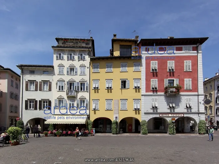 : DIG, Geografie, Italien, Trentino, Trient, Domplatz : DIG, Geografie, Italien, Trentino, Trient, Domplatz