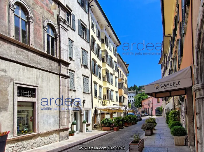 : DIG, Geografie, Italien, Trentino, Trient, Via San : DIG, Geografie, Italien, Trentino, Trient, Via San