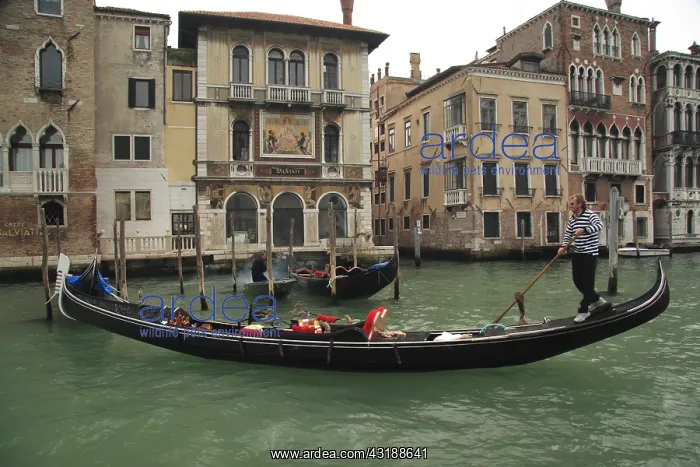 : DIG, Geografie, Italien, Venedig, Stadtansichten : DIG, Geografie, Italien, Venedig, Stadtansichten
