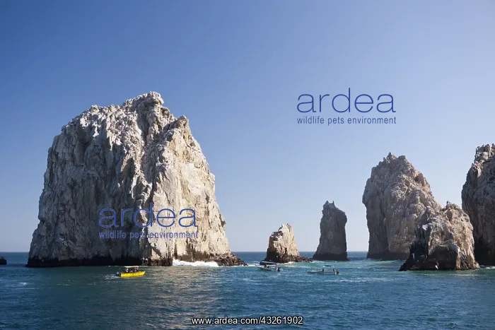: DIG, Geografie, Mexiko, California, Ausflug zu Lands : DIG, Geografie, Mexiko, California, Ausflug zu Lands