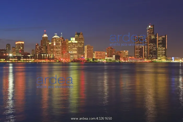 : DIG, geography / travel, Canada, Michigan, Detroit : DIG, geography / travel, Canada, Michigan, Detroit