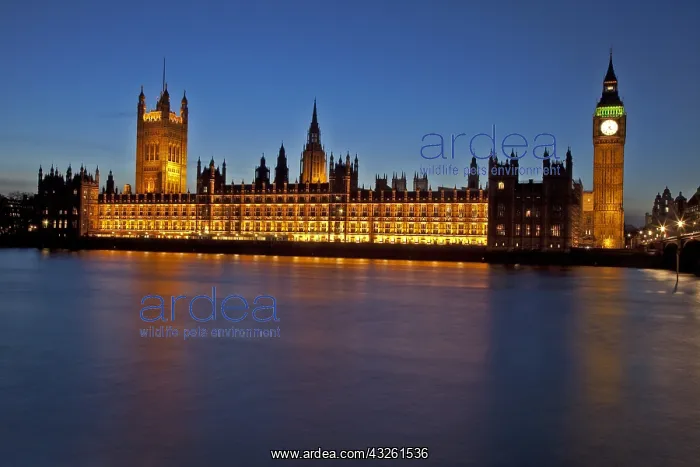 : DIG, geography / travel, Great Britain, England : DIG, geography / travel, Great Britain, England