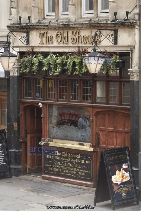 : DIG, geography / travel, Great Britain, England : DIG, geography / travel, Great Britain, England