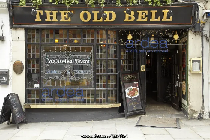 : DIG, geography / travel, Great Britain, England : DIG, geography / travel, Great Britain, England