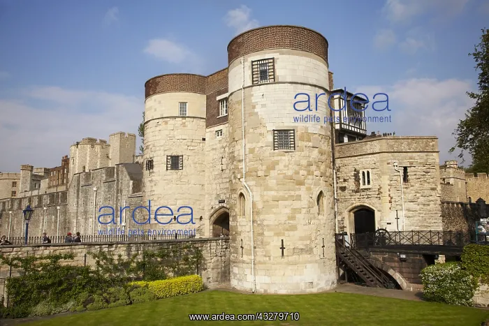 : DIG, geography / travel, Great Britain, England : DIG, geography / travel, Great Britain, England