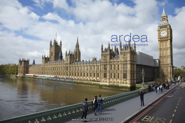 : DIG, geography / travel, Great Britain, England : DIG, geography / travel, Great Britain, England