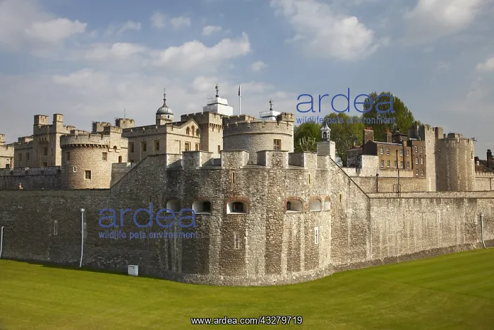 : DIG, geography / travel, Great Britain, England : DIG, geography / travel, Great Britain, England