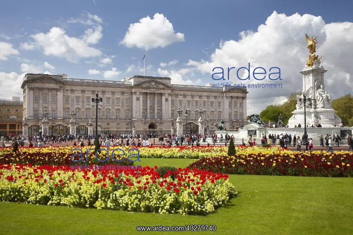 : DIG, geography / travel, Great Britain, England : DIG, geography / travel, Great Britain, England