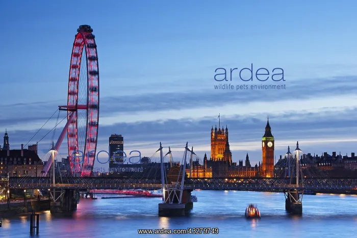 : DIG, geography / travel, Great Britain, England : DIG, geography / travel, Great Britain, England