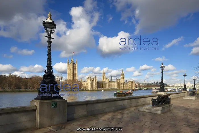 : DIG, geography / travel, Great Britain, England : DIG, geography / travel, Great Britain, England