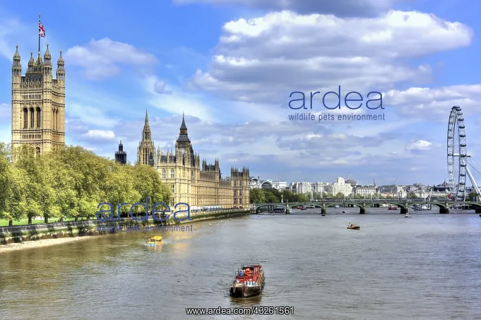 : DIG, geography / travel, Great Britain, London : DIG, geography / travel, Great Britain, London