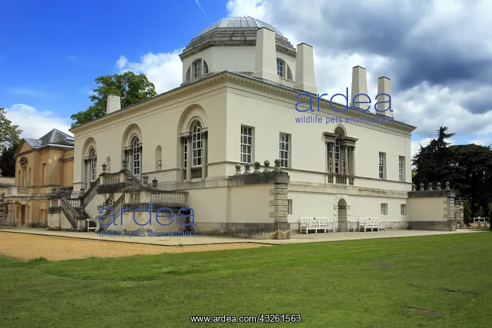 : DIG, geography / travel, Great Britain, London : DIG, geography / travel, Great Britain, London
