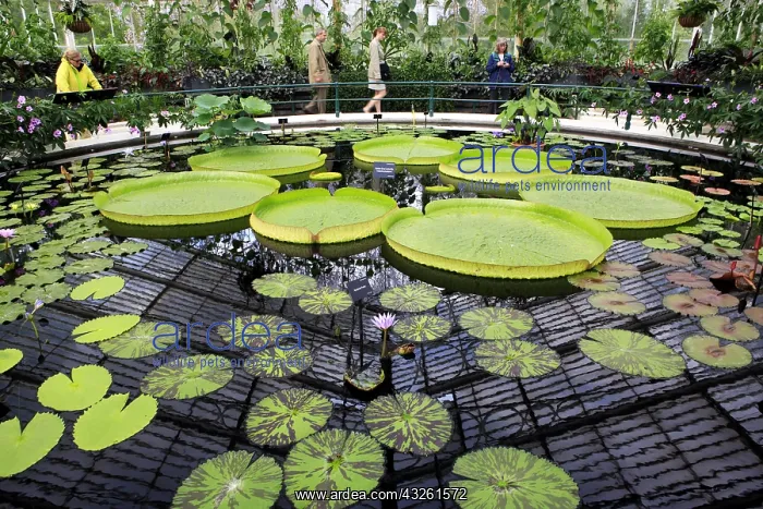 : DIG, geography / travel, Great Britain, London : DIG, geography / travel, Great Britain, London