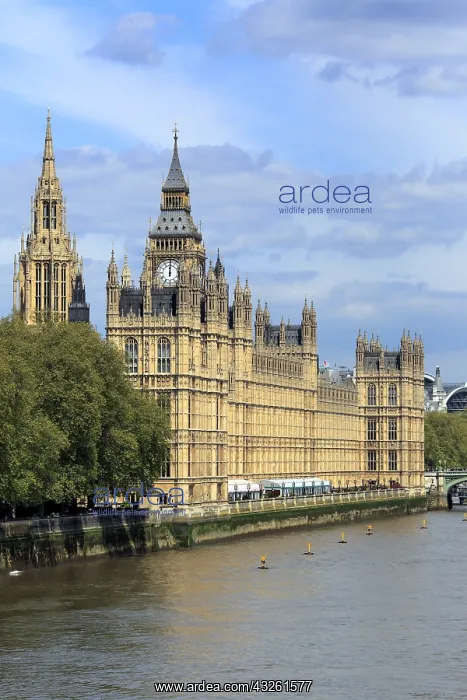 : DIG, geography / travel, Great Britain, London : DIG, geography / travel, Great Britain, London