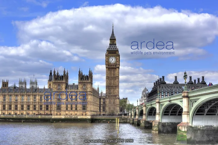 : DIG, geography / travel, Great Britain, London : DIG, geography / travel, Great Britain, London