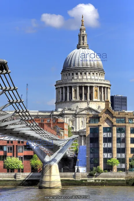 : DIG, geography / travel, Great Britain, London : DIG, geography / travel, Great Britain, London
