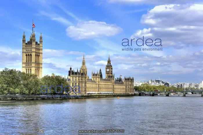 : DIG, geography / travel, Great Britain, London : DIG, geography / travel, Great Britain, London