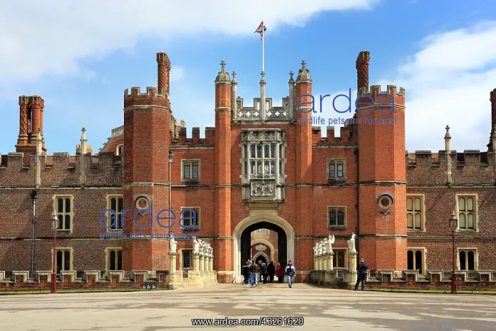 : DIG, geography / travel, Great Britain, London : DIG, geography / travel, Great Britain, London