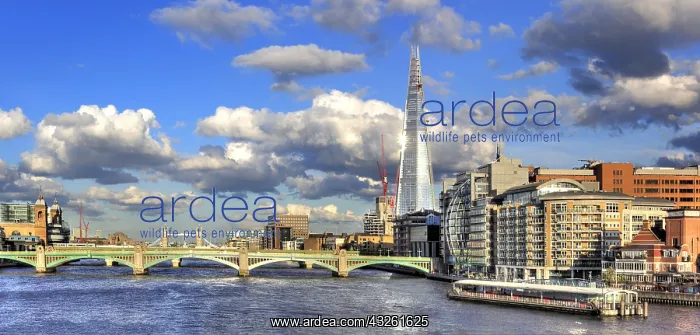 : DIG, geography / travel, Great Britain, London : DIG, geography / travel, Great Britain, London
