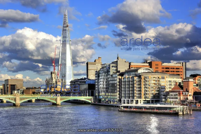 : DIG, geography / travel, Great Britain, London : DIG, geography / travel, Great Britain, London