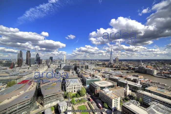 : DIG, geography / travel, Great Britain, London : DIG, geography / travel, Great Britain, London